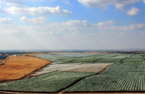 valedarosa 20250625151625 