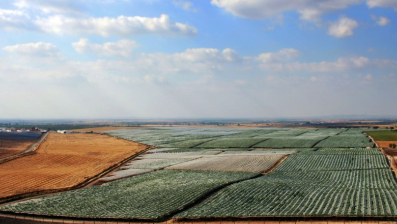 valedarosa 20250625151625 