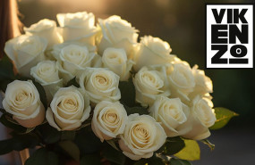 vikenzo nature arreglos florales