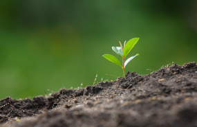 1642531808 captura de pantalla 2022 01 18 a les 194003