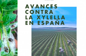 1644917813 fotolife resilience xyella 