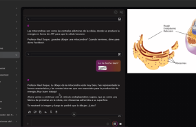 clulas 20250918170531 clulas 20250918170531