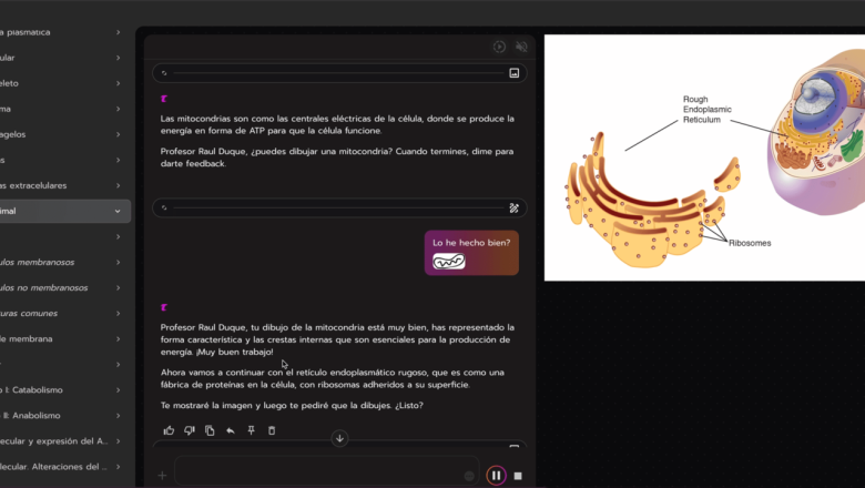 clulas 20250918170531 