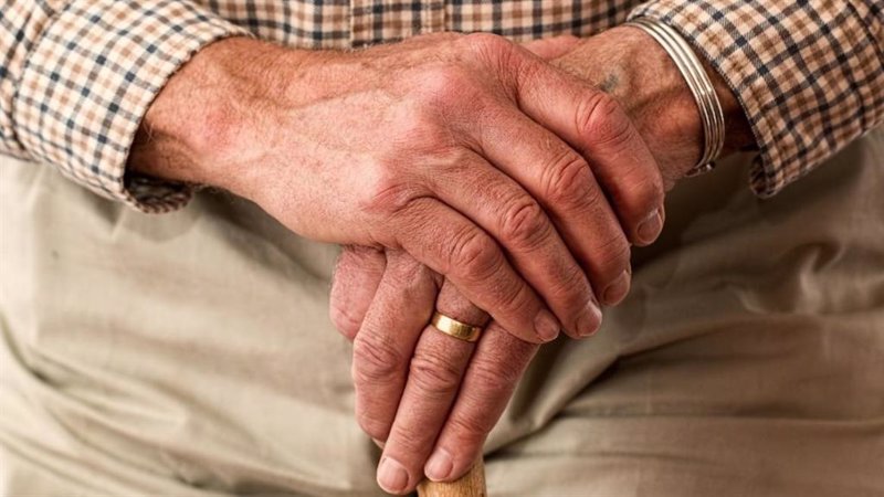 Ingesan (OHLA) lanza un servicio online de asistencia domiciliaria para personas mayores