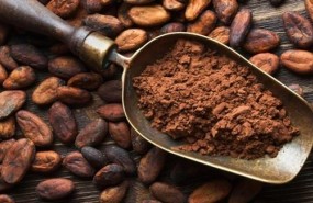 ep cacao 20171115135804