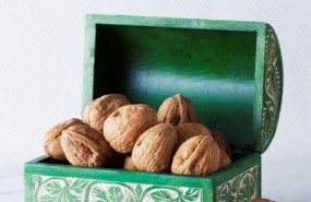 ep las nueces podrian ayudarcontrolarapetitolas dietas