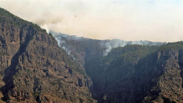ep parte de la zona afectada por el incendio de la isla de gran canaria de la que continua saliendo 20190827091051
