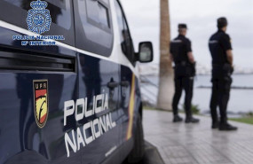 ep roban mas de 200000 euros en joyas en casa de una anciana tras golpearla brutalmente