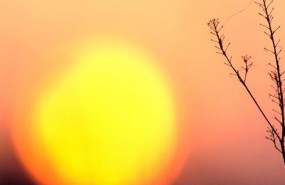 ep sol cambio climatico calentamiento greenpeace desierto sequia
