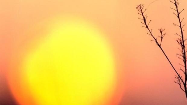 ep sol cambio climatico calentamiento greenpeace desierto sequia