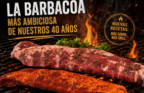 foto emcesa barbacoa 20260721123549 foto emcesa barbacoa 20260721123549