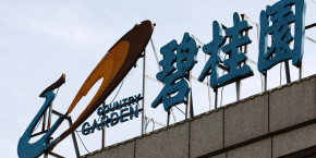 le logo de l entreprise chinoise country garden 