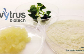 1569249670 ndpvytrus