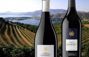 1580328918 finca garbet aires de garbet