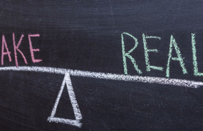 1637690641 fake o real de los seguros de vida