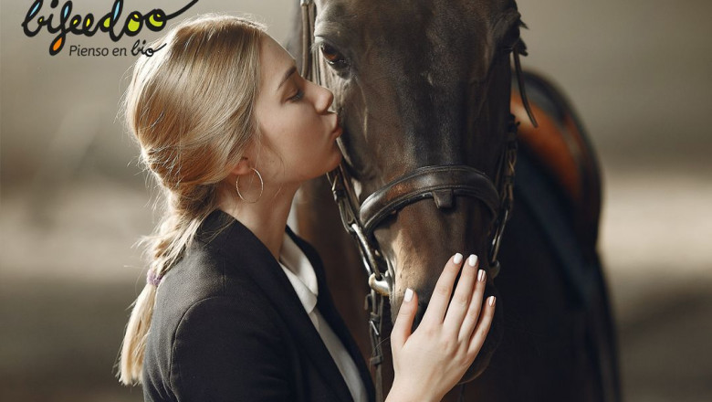 1646036957 pienso ecologico caballos