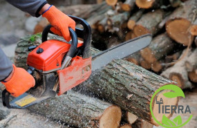 1651230929 la tierra jardineria