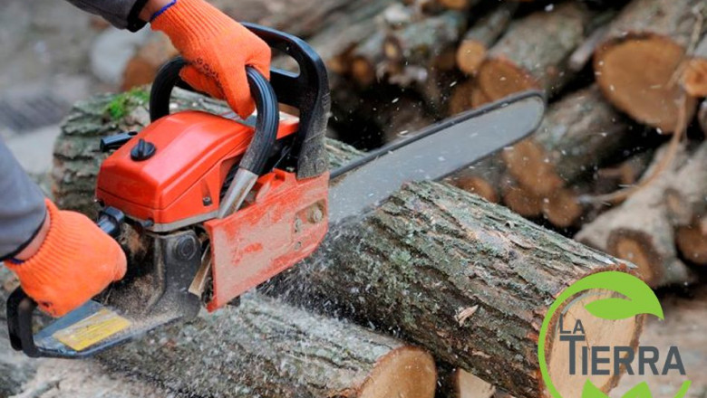 1651230929 la tierra jardineria