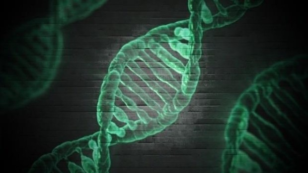 PIXABAY/TYPOGRAPHYIMAGES ep adn genes genetica 20171129180328