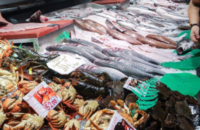 ep archivo   muestra de una pescaderia