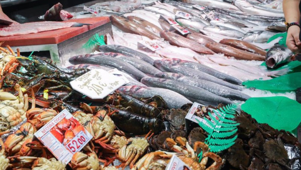 ep archivo   muestra de una pescaderia