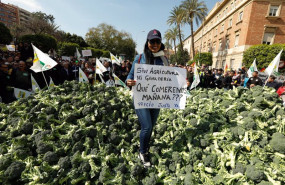ep archivo una de las participantes de la manifestacion convocada por agricultores y ganaderos con ep archivo una de las participantes de la manifestacion convocada por agricultores y ganaderos con