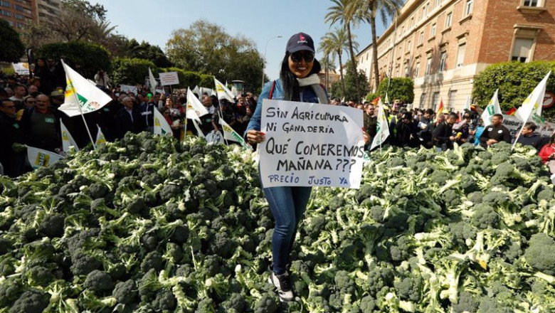 ep archivo una de las participantes de la manifestacion convocada por agricultores y ganaderos con ep archivo una de las participantes de la manifestacion convocada por agricultores y ganaderos con
