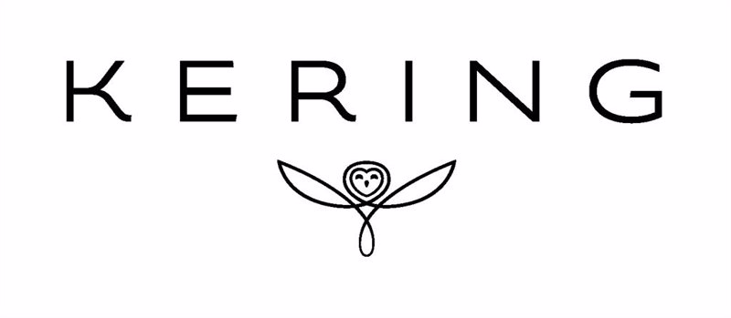 ep logo de kering