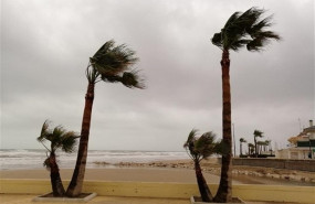 ep un temporal de viento se deja notar en una playa