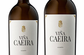 ep vinos de vina caeira de matarromera