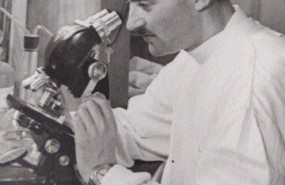 jaime aguado trigueros jaime aguado trigueros