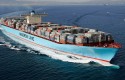 maersk line maersk line