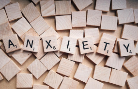 1576495712 captura de pantalla 2019 12 16 a las 122827