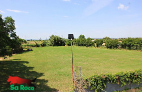 1629799525 guarderia canina zgz