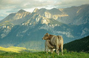 1631800281 habitacioncon vistas 2294