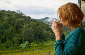 1651061003 presentacion cafeterasonline