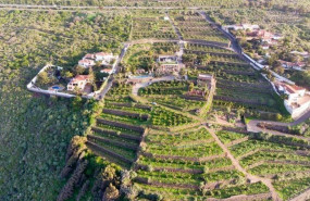 alquiler vacacional tenerife norte alquiler vacacional tenerife norte