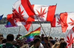 cannabis canada portada