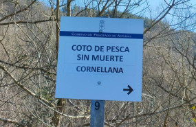 ep archivo   coto de pesca sin muerte en cornellana asturias