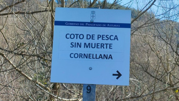 ep archivo coto de pesca sin muerte en cornellana asturias ep archivo coto de pesca sin muerte en cornellana asturias