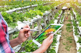 ep archivo   innovacion en el sector agricola mediante drones