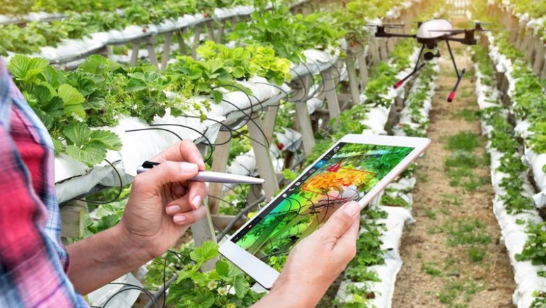 Archivo - Innovación en el sector agrícola mediante drones | JUNTA - Archivo ep archivo innovacion en el sector agricola mediante drones