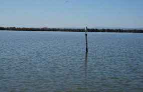 ep archivo   lago de lalbufera