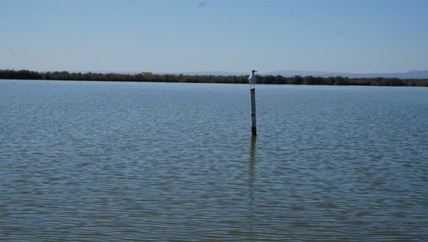 ep archivo   lago de lalbufera