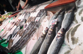 ep archivo   pescaderia en un supermercado