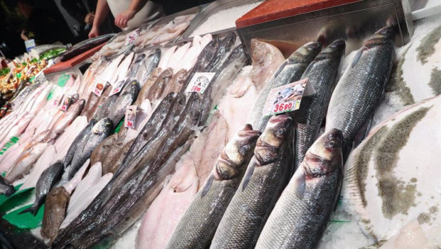 ep archivo   pescaderia en un supermercado
