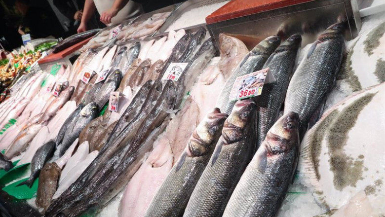 ep archivo   pescaderia en un supermercado
