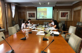 ep coronavirus- fernandez sanz traslada oficialmente a illa que las cinco provincias de c-lm pasen a