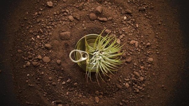 ep fotografiagisela aguilar ganadorasegundo premiov upcycling