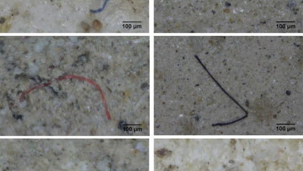 ep los microplasticos encontradosdeltaebro